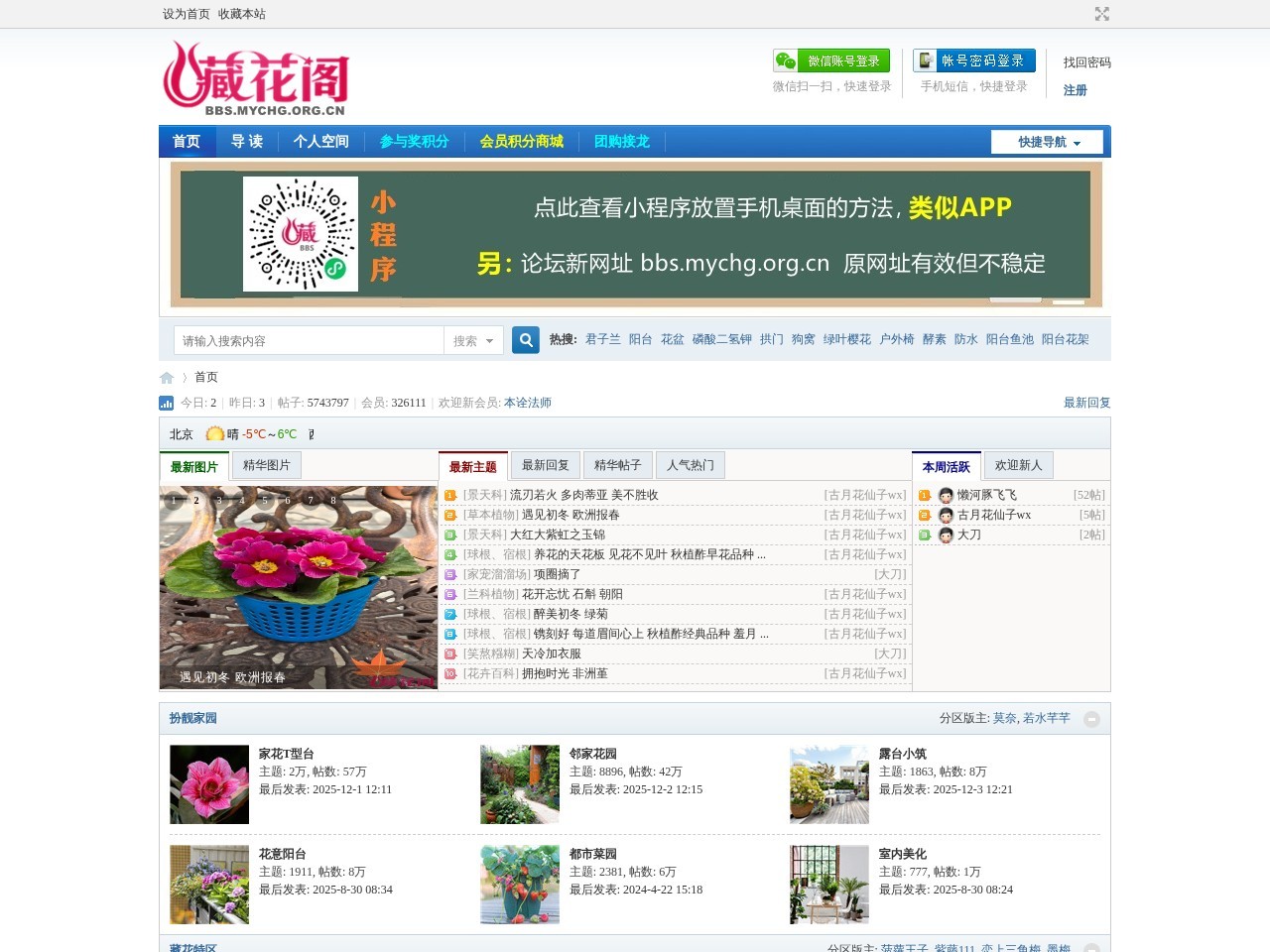 藏花阁家庭园艺论坛